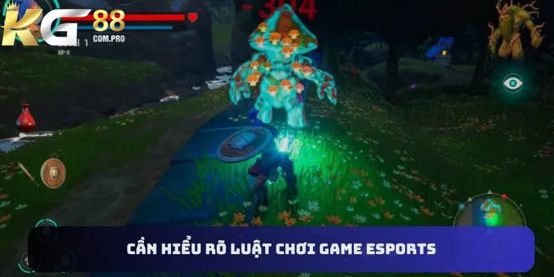 Cần hiểu rõ luật chơi game esports