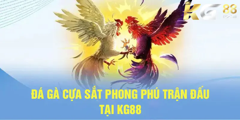 Đa dạng trận đấu hấp dẫn cho người chơi lựa chọn