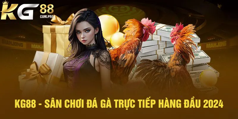 KG88 là lựa chọn hàng đầu để tham gia giải trí đá gà