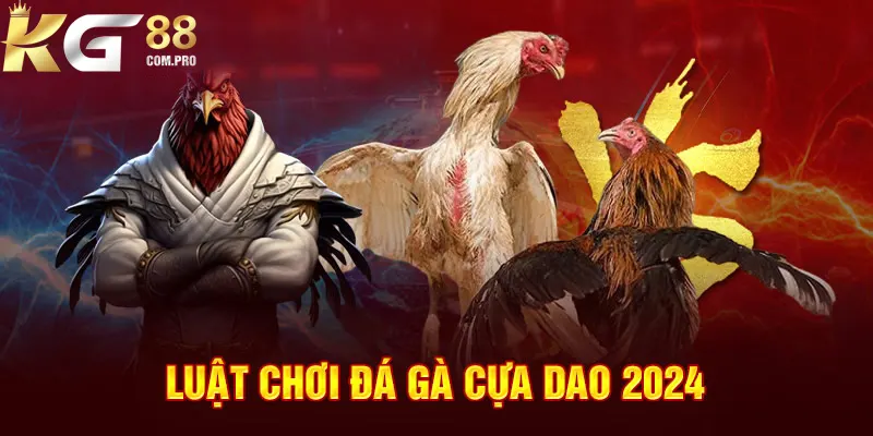 Quy tắc và luật chơi trong đá gà cựa dao