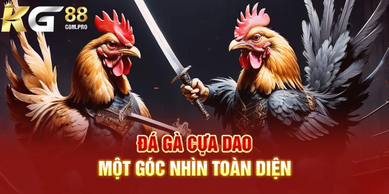 Thông tin về đá gà cựa dao trực tuyến tại KG88